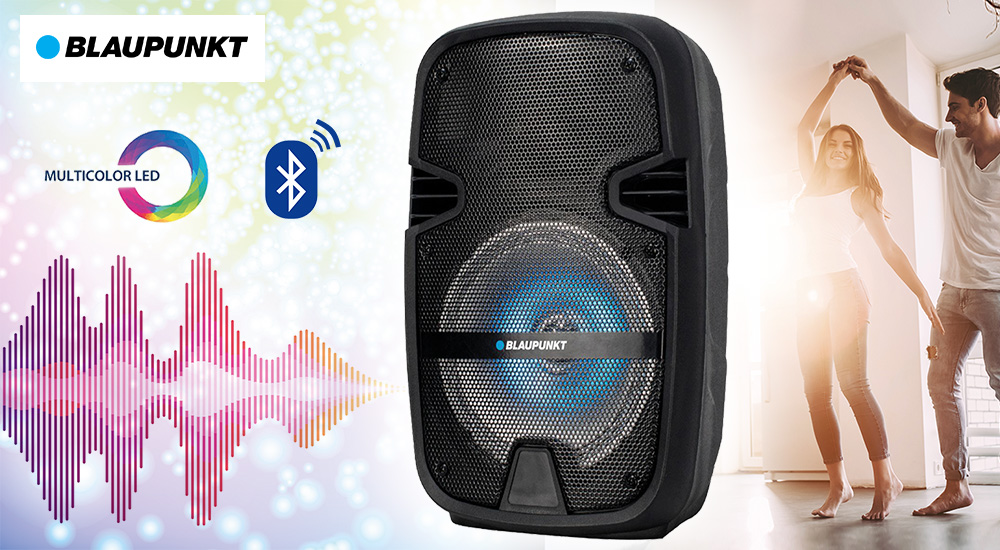 Enceinte_blaupunkt