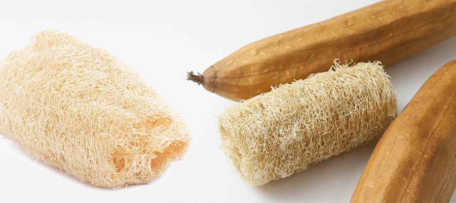 Éponge loofah