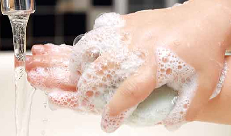 Savon et mousse pour se laver les mains