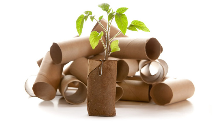 Idéees rouleaux de papier toilette vides