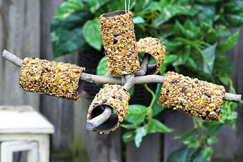 Rouleau papier toilette vide distributeur graines oiseaux